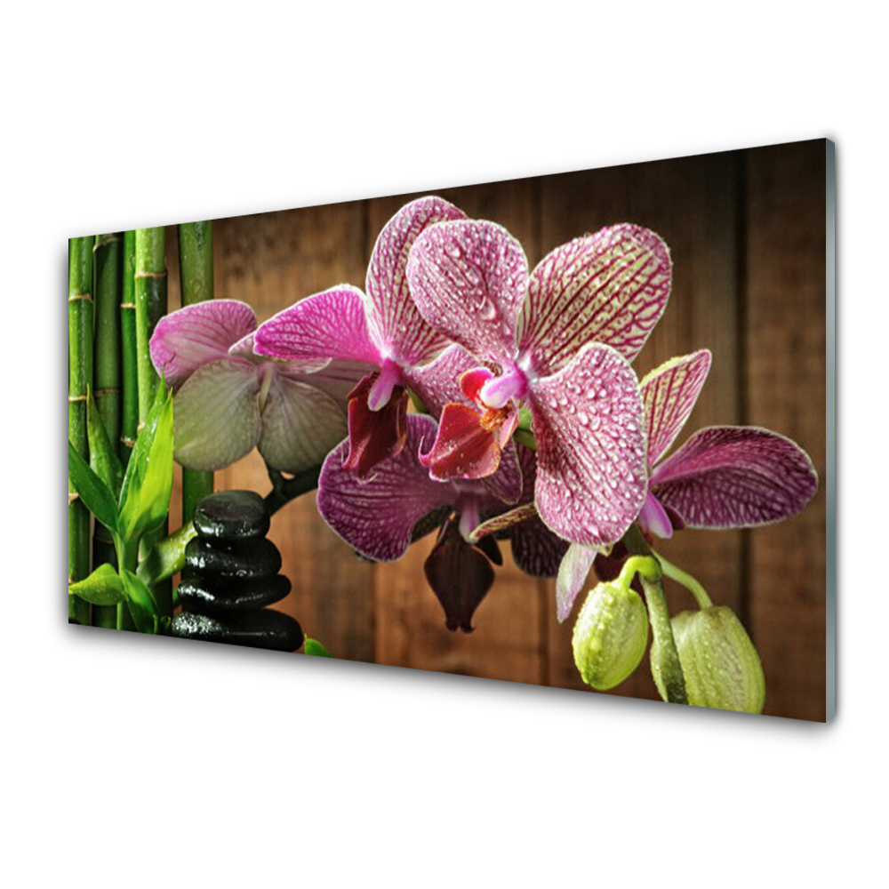 Tableau sur verre Bambou Orchidée Pierres