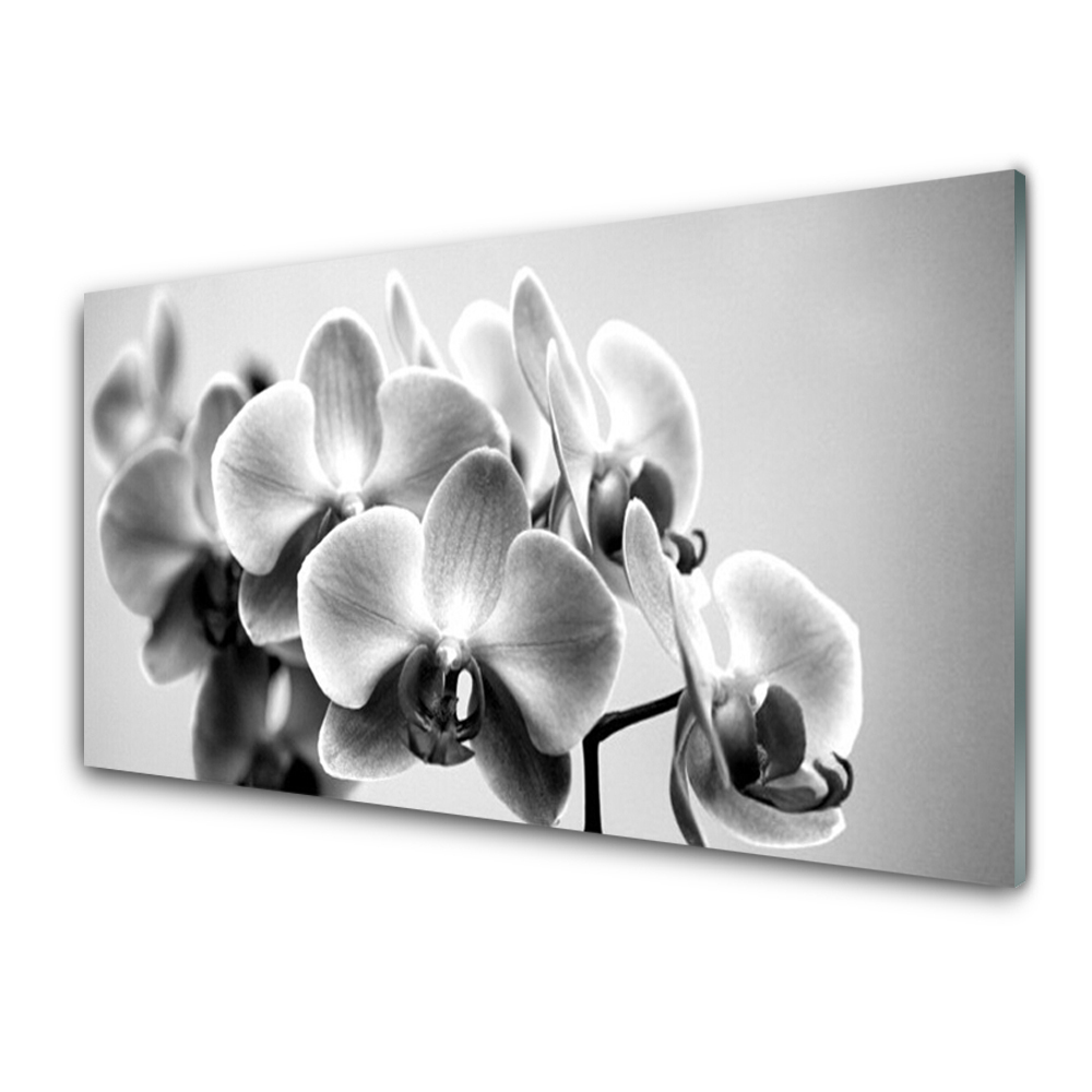 Tableau photo sur verre Orchidée noire et blanche