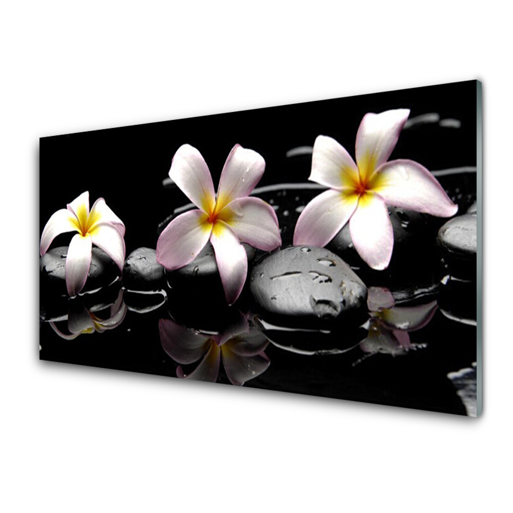 Tableau sur verre Trois fleurs sur des pierres