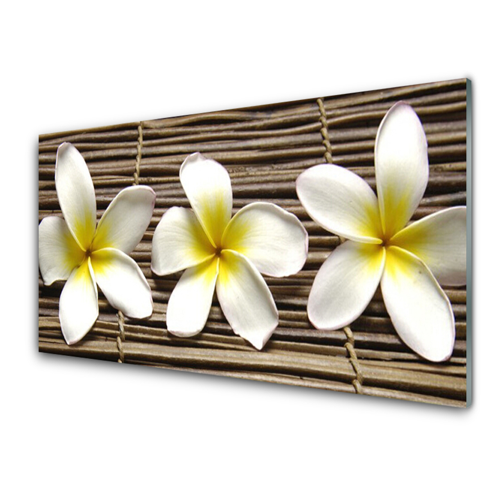 Tableau imprimé sur verre Fleurs Plante de la nature