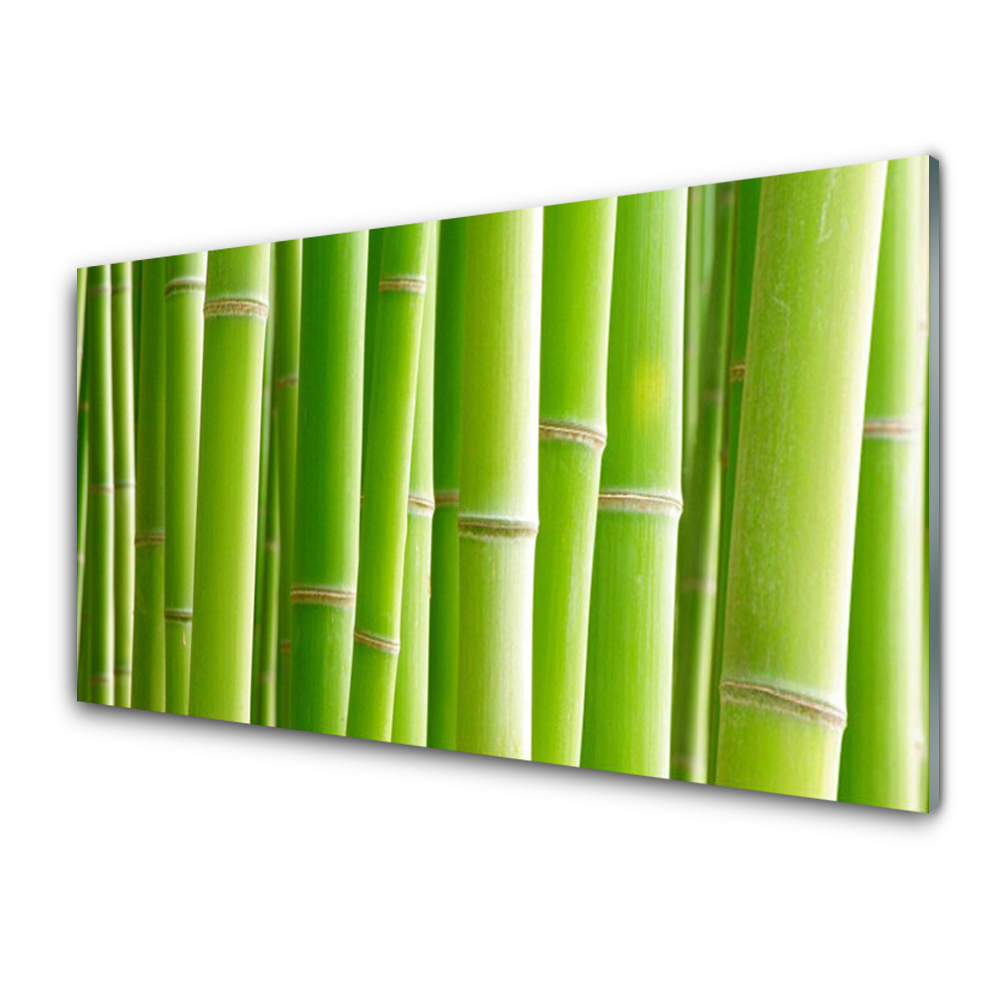 Tableau photo sur verre Tiges de bambou
