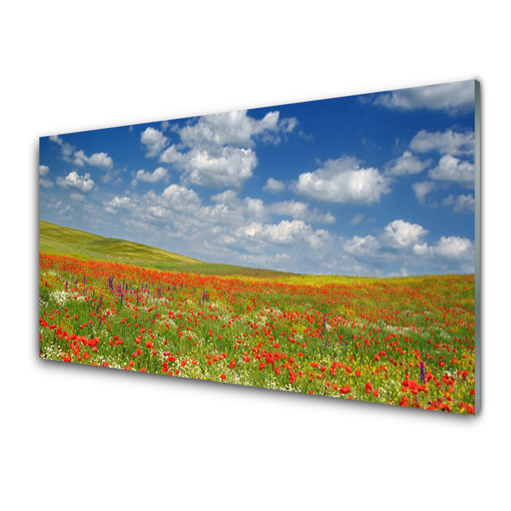 Tableau en verre Prairie pleine de fleurs