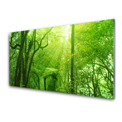 Tableau verre imprimé Arbres verts Nature