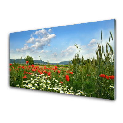 Tableau verre imprimé Coquelicots des prés Grain Nature