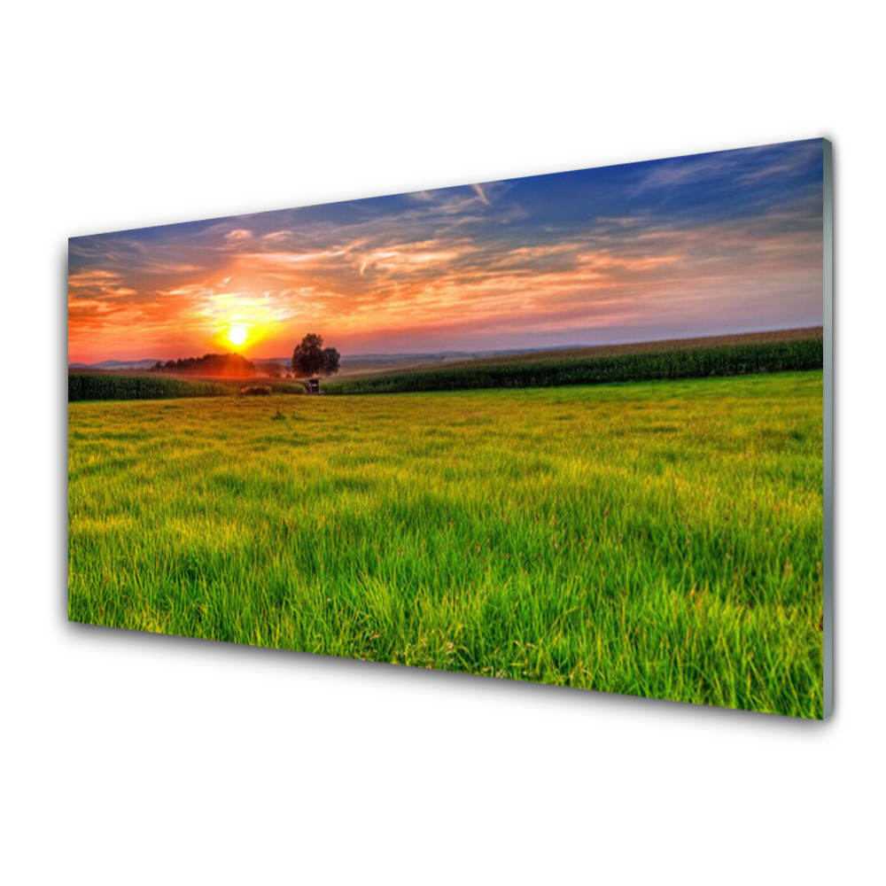 Tableau photo sur verre Prairie au coucher du soleil