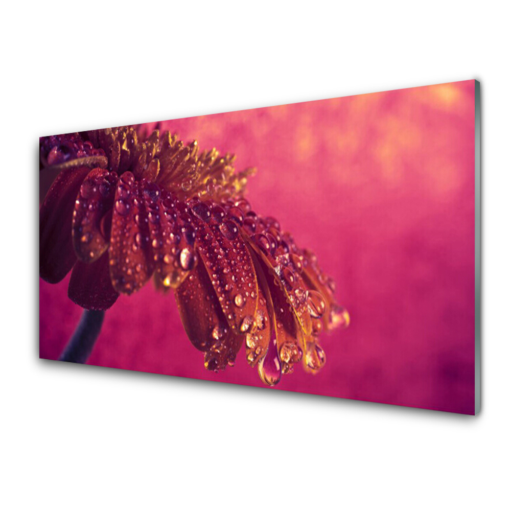 Tableau sur verre Fleur et gouttelettes d'eau