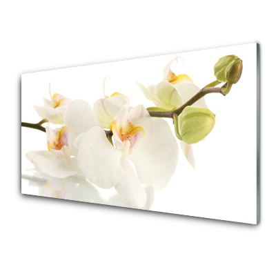 Tableau imprimé sur verre Orchidées sur tige