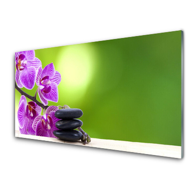 Tableau en verre Orchidées sur fond vert