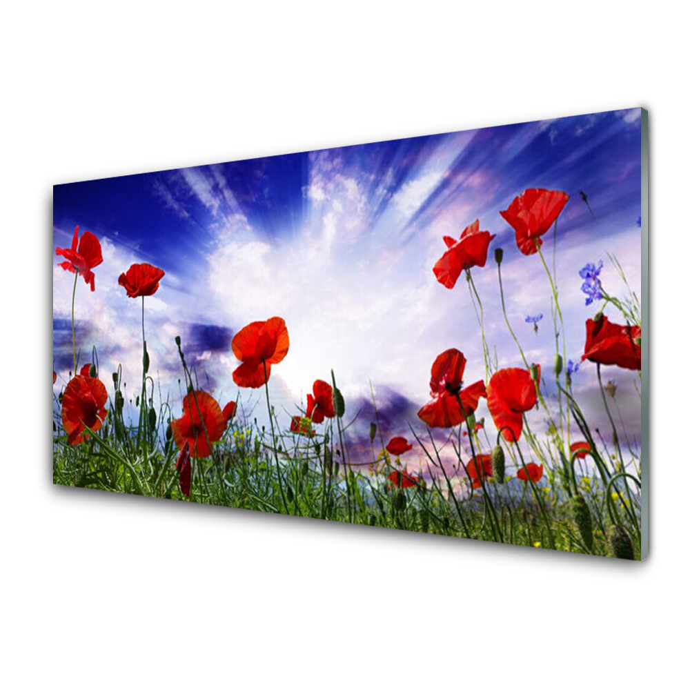 Tableau imprimé sur verre Coquelicots contre le ciel