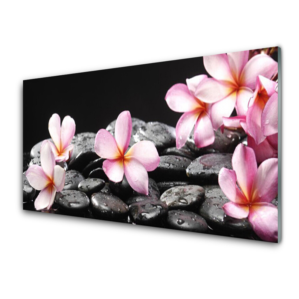 Tableau verre imprimé Fleurs de plumeria Pierres