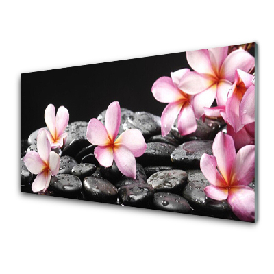Tableau verre imprimé Fleurs de plumeria Pierres