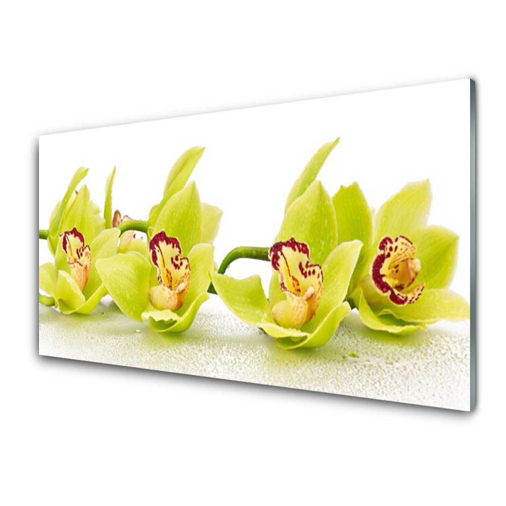 Tableau photo sur verre Fleurs exotiques jaunes