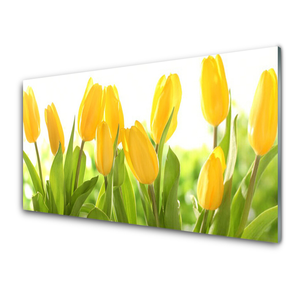 Tableau sur verre Fleur de tulipe jaune