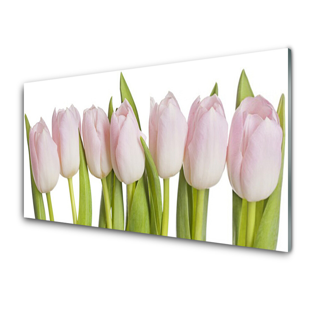 Tableau verre imprimé Plante de fleurs de tulipes rose pâle