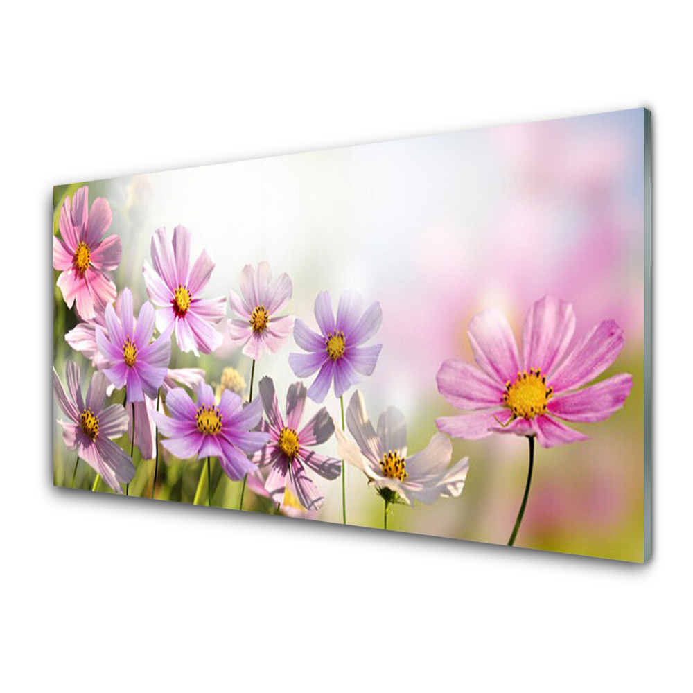 Tableau photo sur verre Marguerites roses