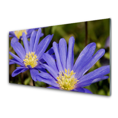Tableau verre imprimé Fleurs violettes en gros plan