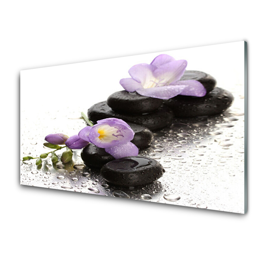 Tableau verre imprimé Fleurs violettes sur des pierres