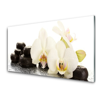 Tableau imprimé sur verre Pierres Orchidée blanche