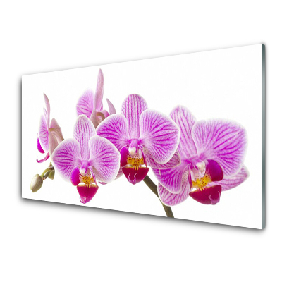 Tableau sur verre Orchidées roses