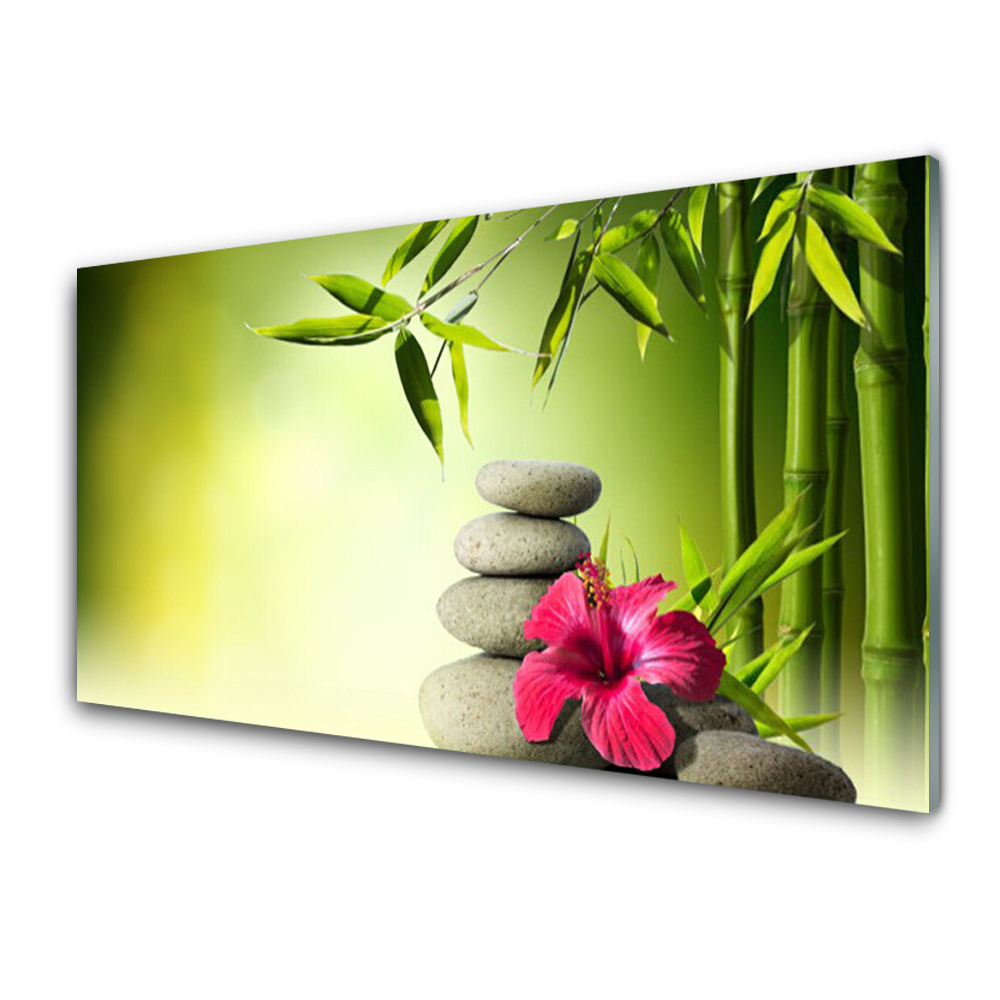 Tableau photo sur verre Fond vert bambou et pierres