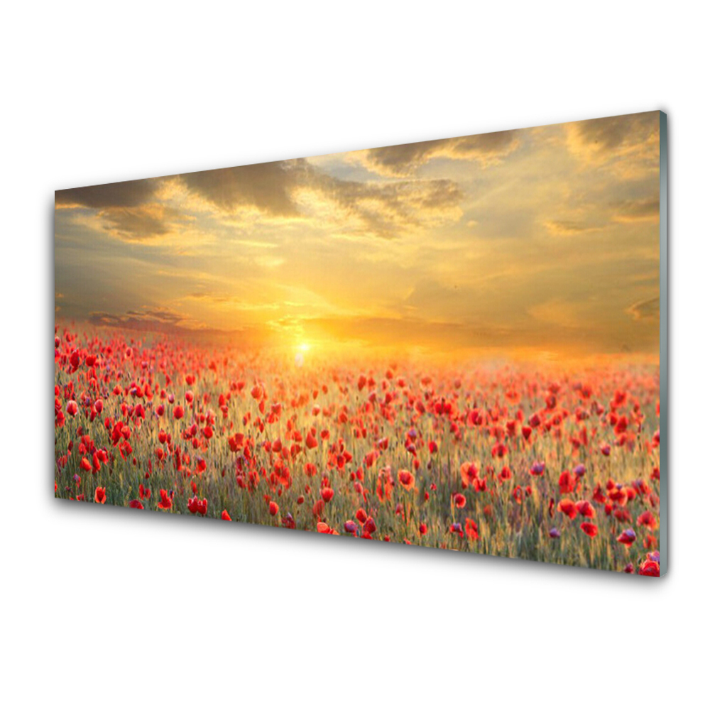 Tableau sur verre Prairie de coquelicots Coucher de soleil