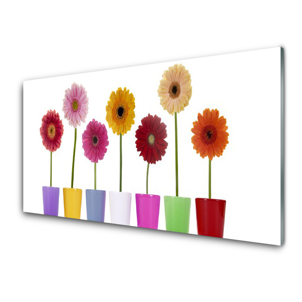 Tableau verre imprimé Fleurs colorées en pots