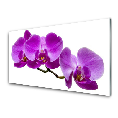 Tableau sur verre Trois orchidées violettes