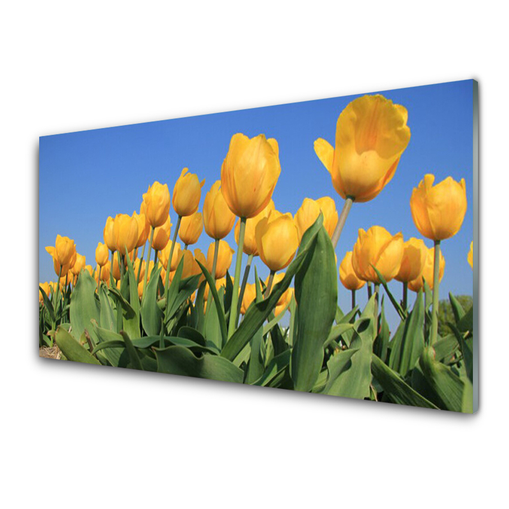 Tableau sur verre Tulipes Fleurs jaunes