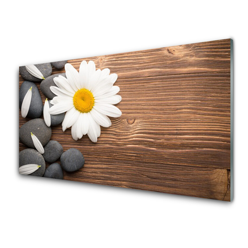 Tableau photo sur verre Pierres de marguerite sur une planche