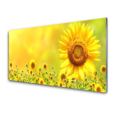 Tableau sur verre Tournesol sur fond jaune