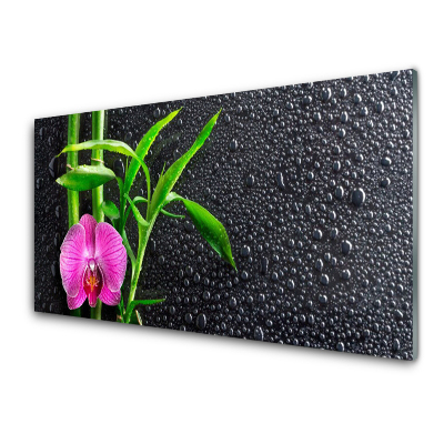Tableau en verre Gouttes de fleurs de bambou sur fond noir
