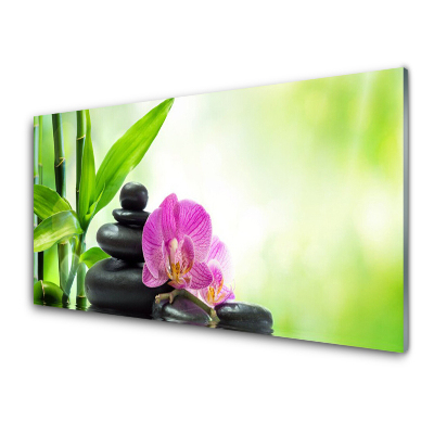 Tableau sur verre Feuille verte de bambou Graphique