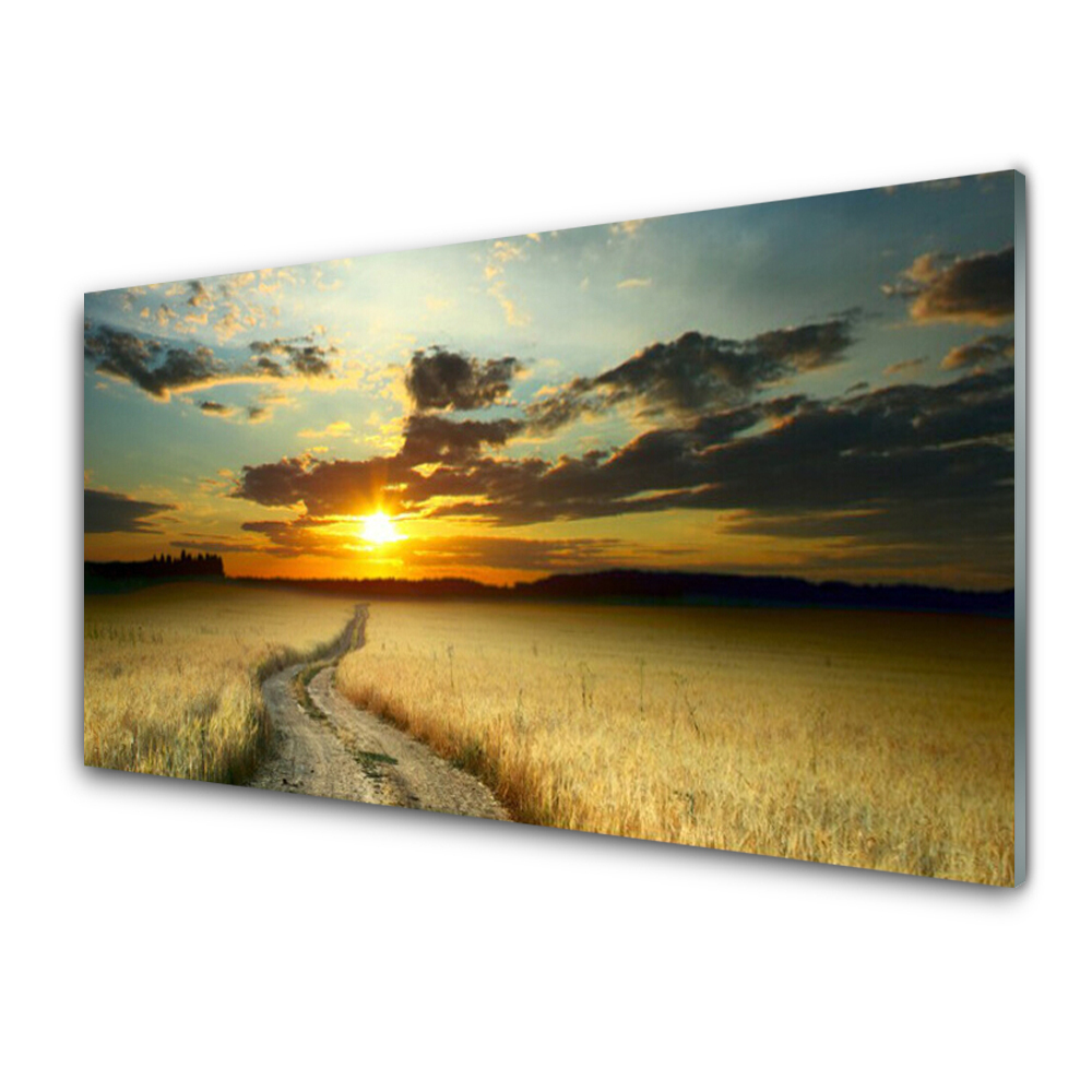 Tableau verre imprimé Chemin Champ Paysage