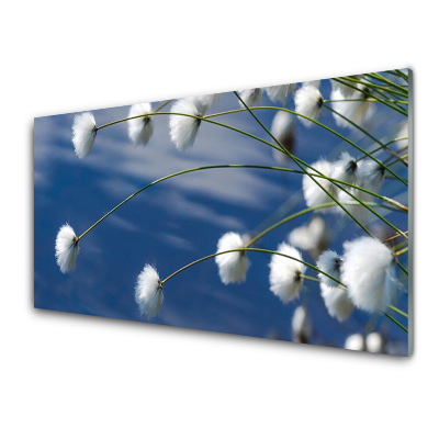 Tableau imprimé sur verre Fleurs bleues en gros plan
