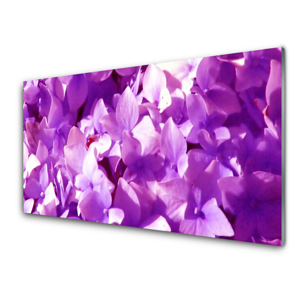 Tableau verre imprimé Fleurs violettes en gros plan