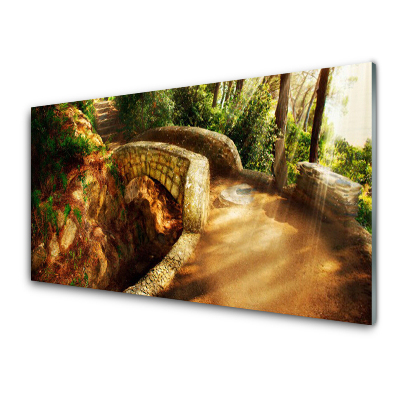 Tableau verre imprimé Pont dans la forêt