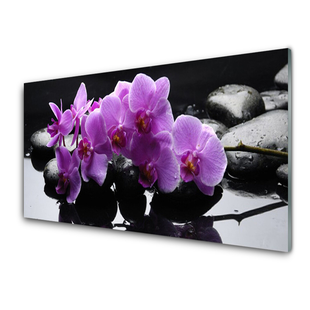 Tableau photo sur verre Orchidée sur fond de pierres