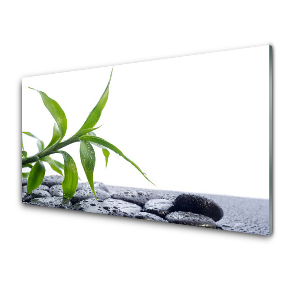 Tableau photo sur verre Pierres et feuilles vertes