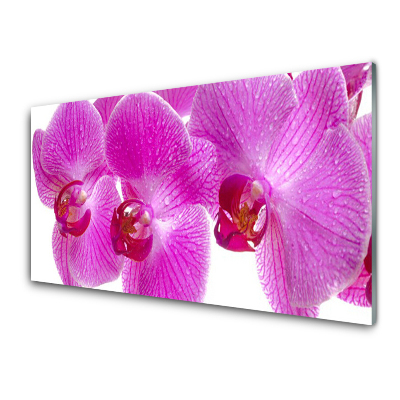 Tableau sur verre Gros plan sur une orchidée rose
