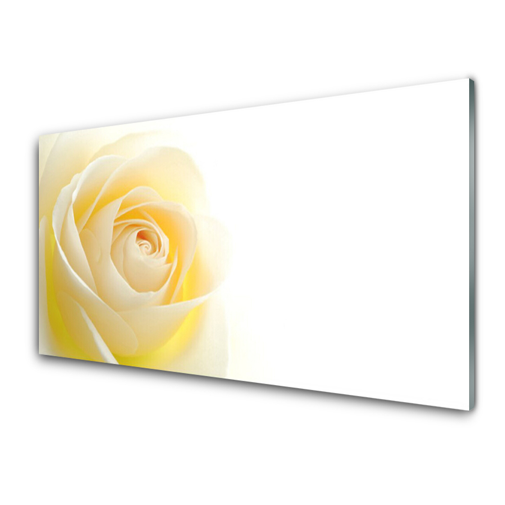 Tableau verre imprimé Rose jaune sur fond blanc