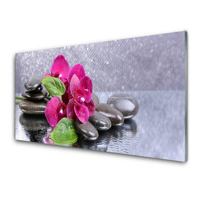 Tableau photo sur verre Orchidée sur fond gris pierreux