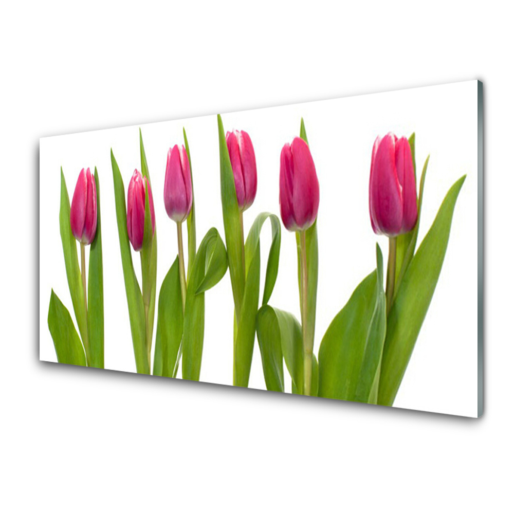Tableau en verre Tulipes roses sur fond blanc