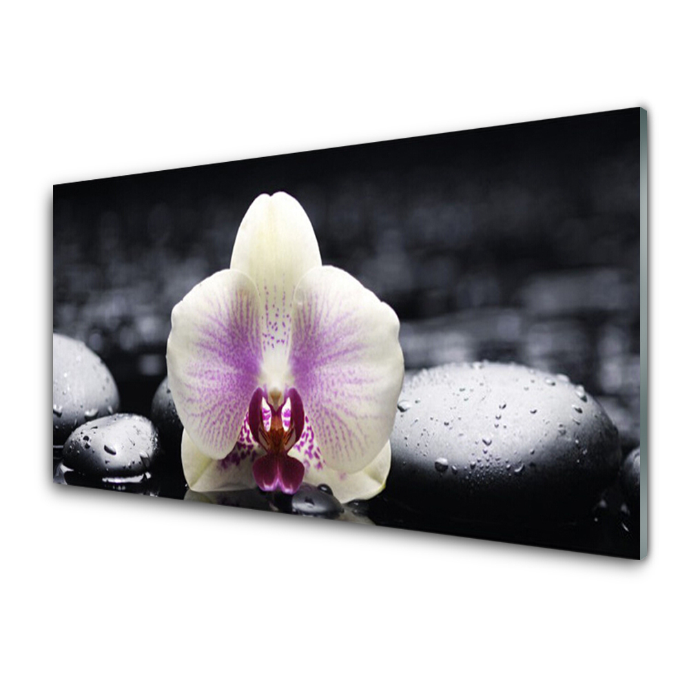 Tableau en verre Orchidée blanche pierres noires