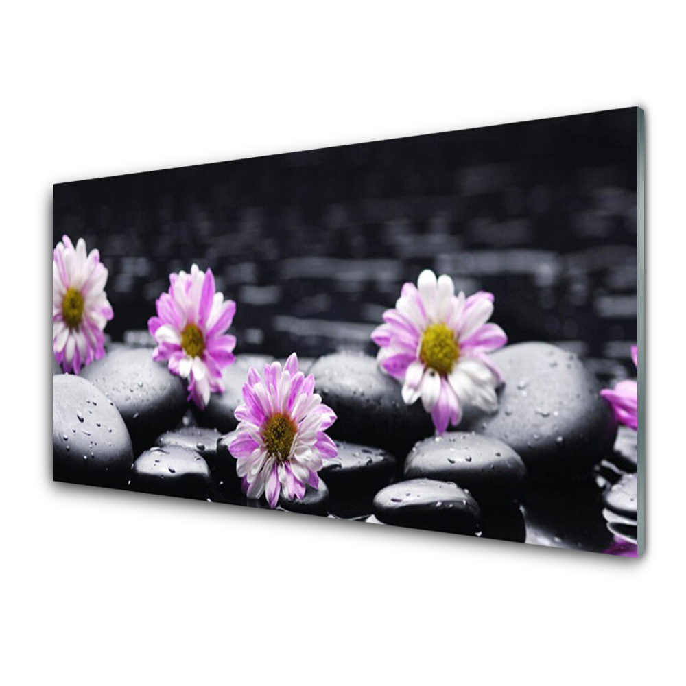 Tableau sur verre Fleurs de marguerite pierres noires
