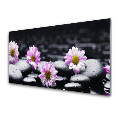 Tableau sur verre Fleurs de marguerite pierres noires