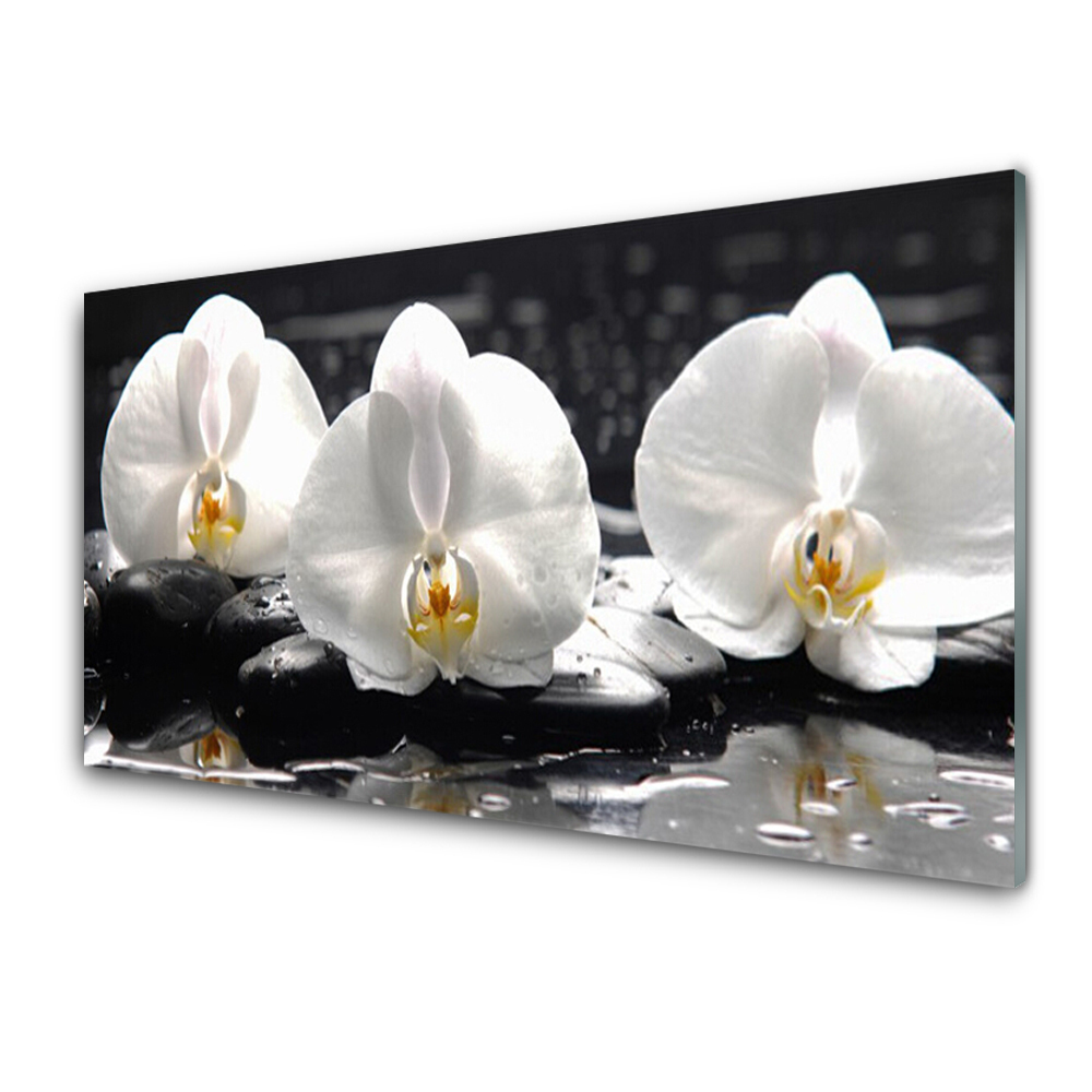 Tableau photo sur verre Orchidées blanches pierres noires