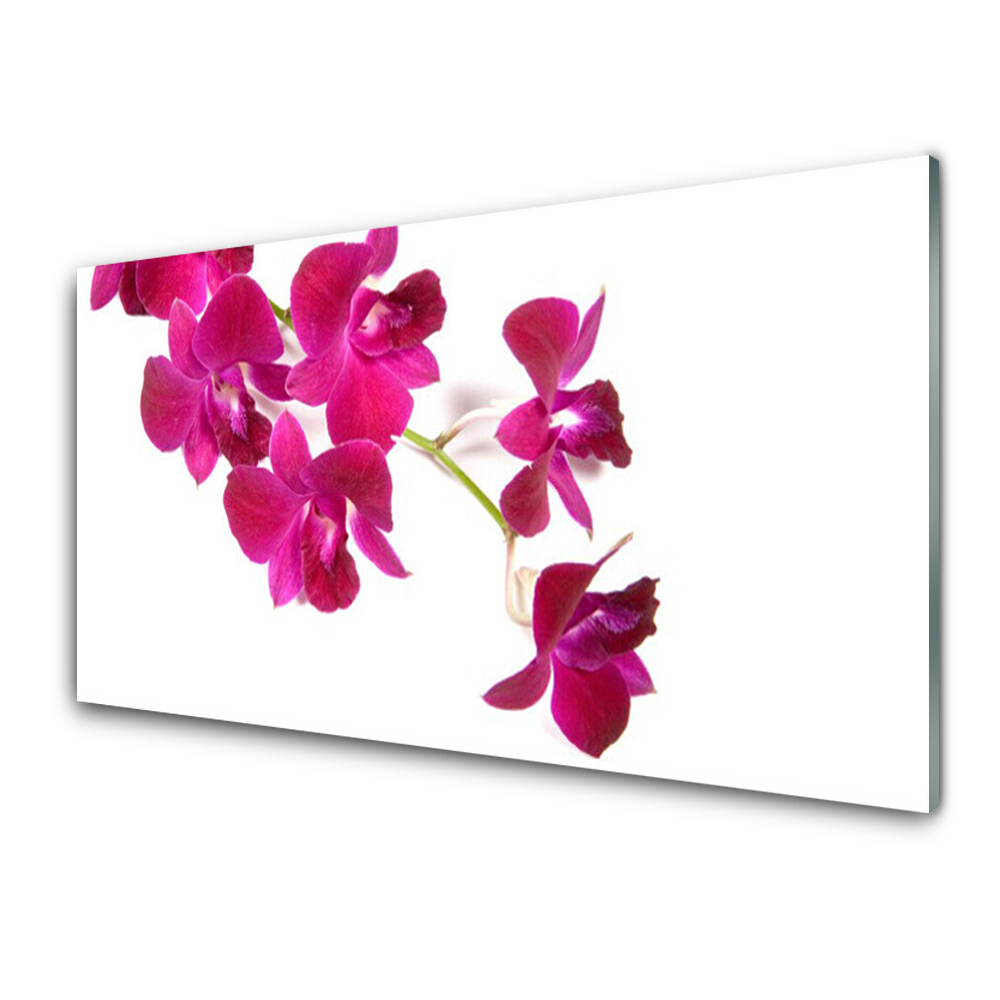 Tableau en verre Orchidées fuchsia fond blanc