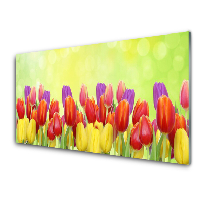 Tableau en verre Tulipes colorées en rangées