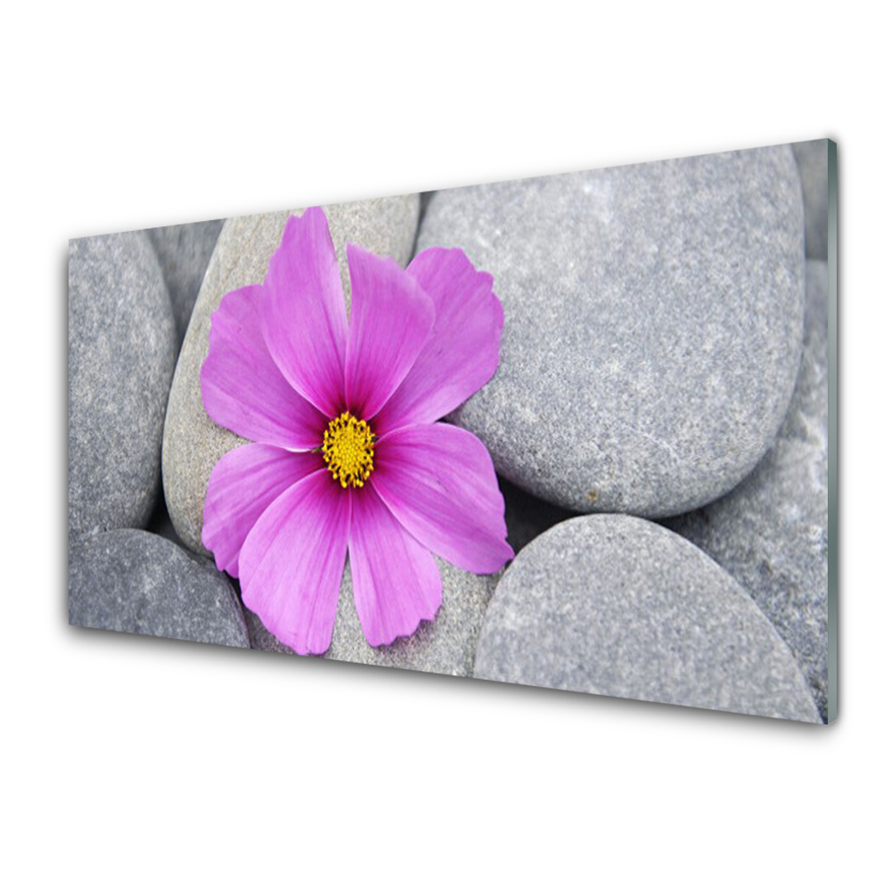 Tableau photo sur verre Fleur sur pierre grise