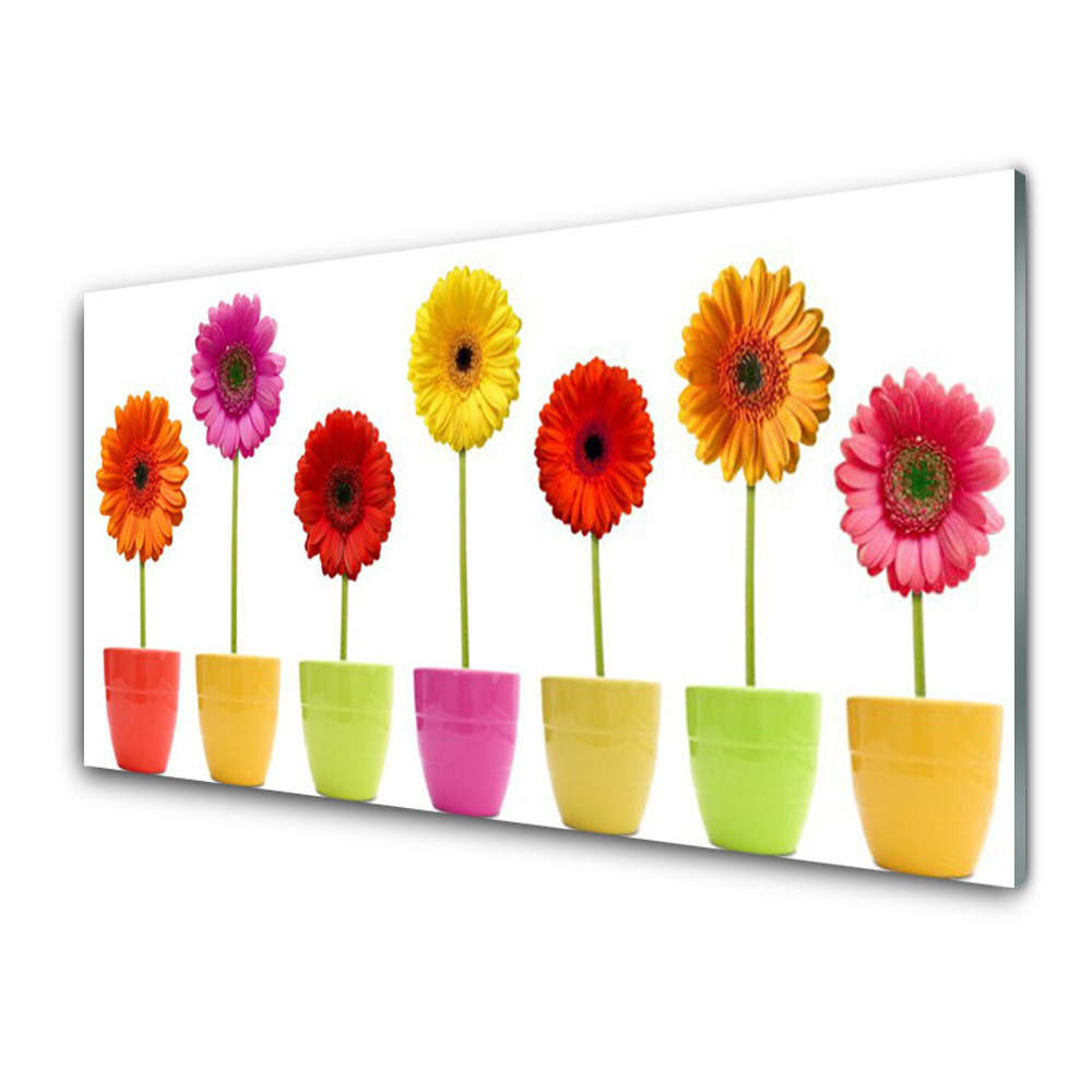 Tableau photo sur verre Fleurs multicolores